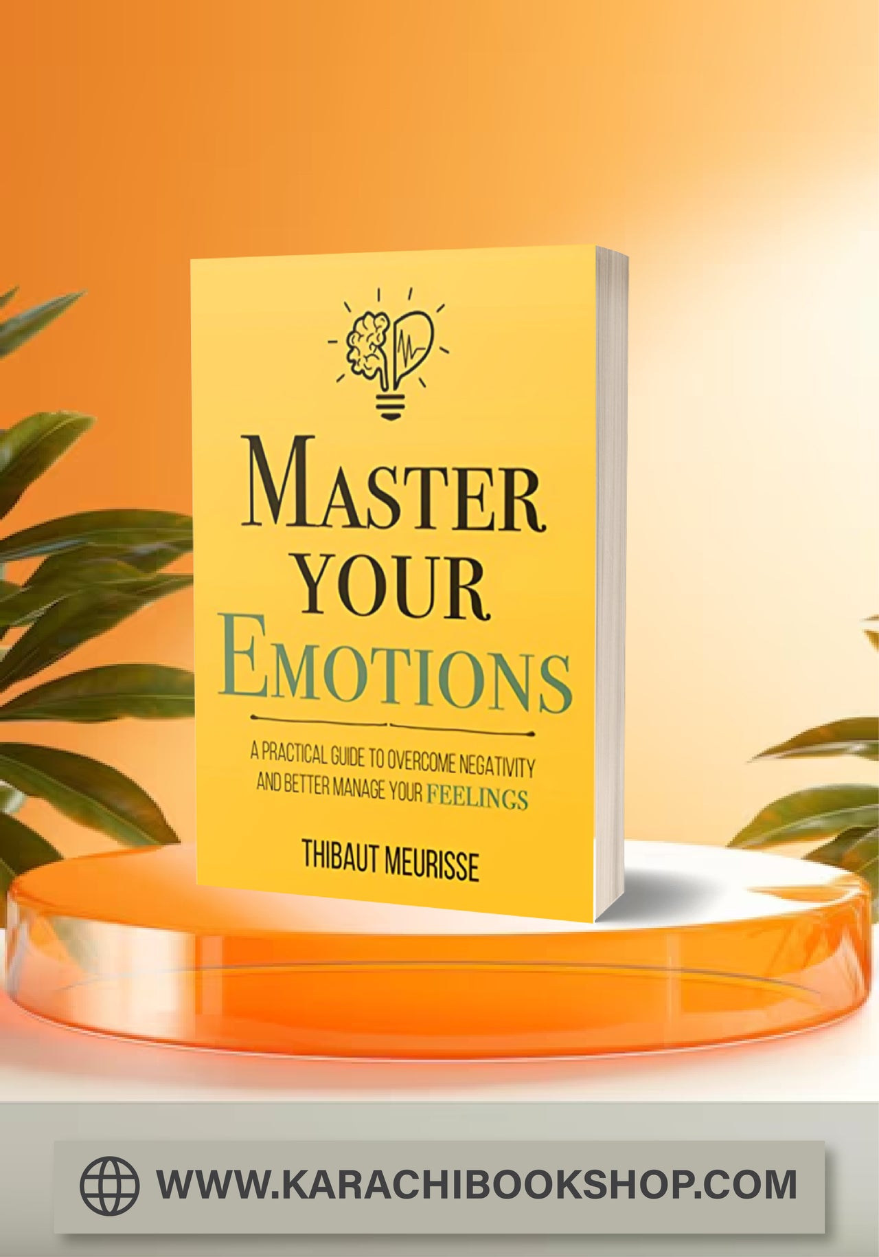 Master Your Emotions: A Practical Guide to Overcome Negativity and Better Manage Your Feelings