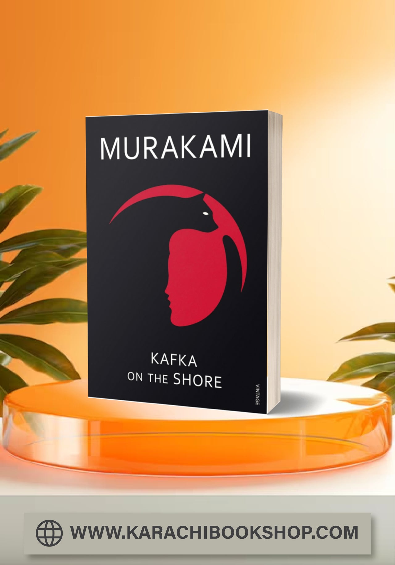 Kafka on the Shore by Haruki Murakami