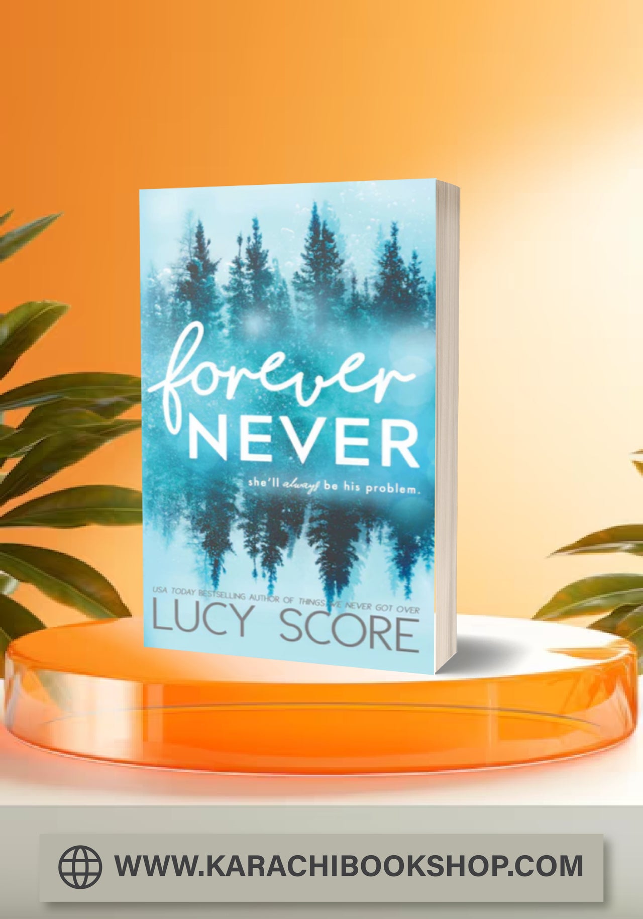 Forever Never (Lucy Score)