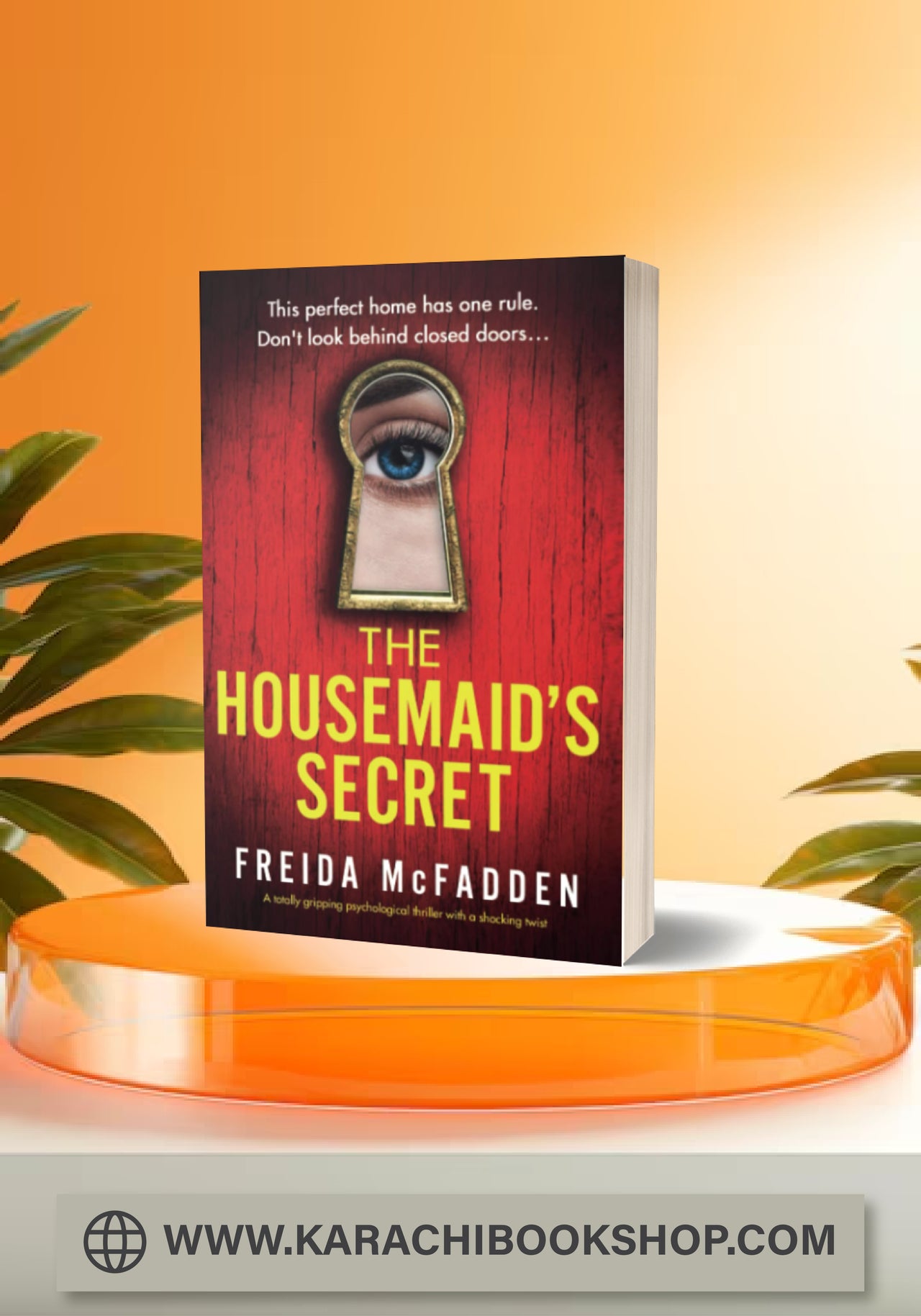 The Housemaid's Secret