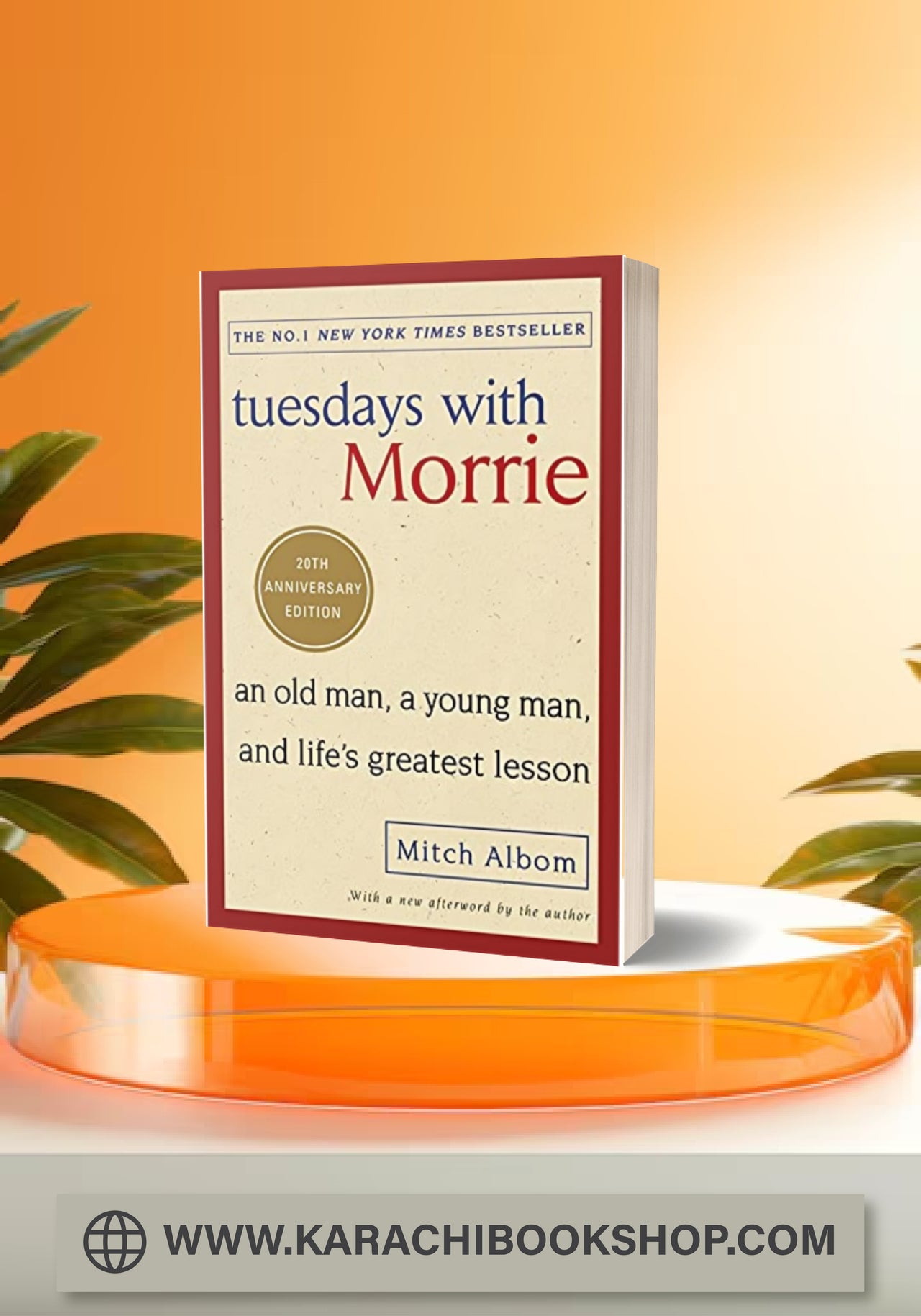 Tuesdays with Morrie