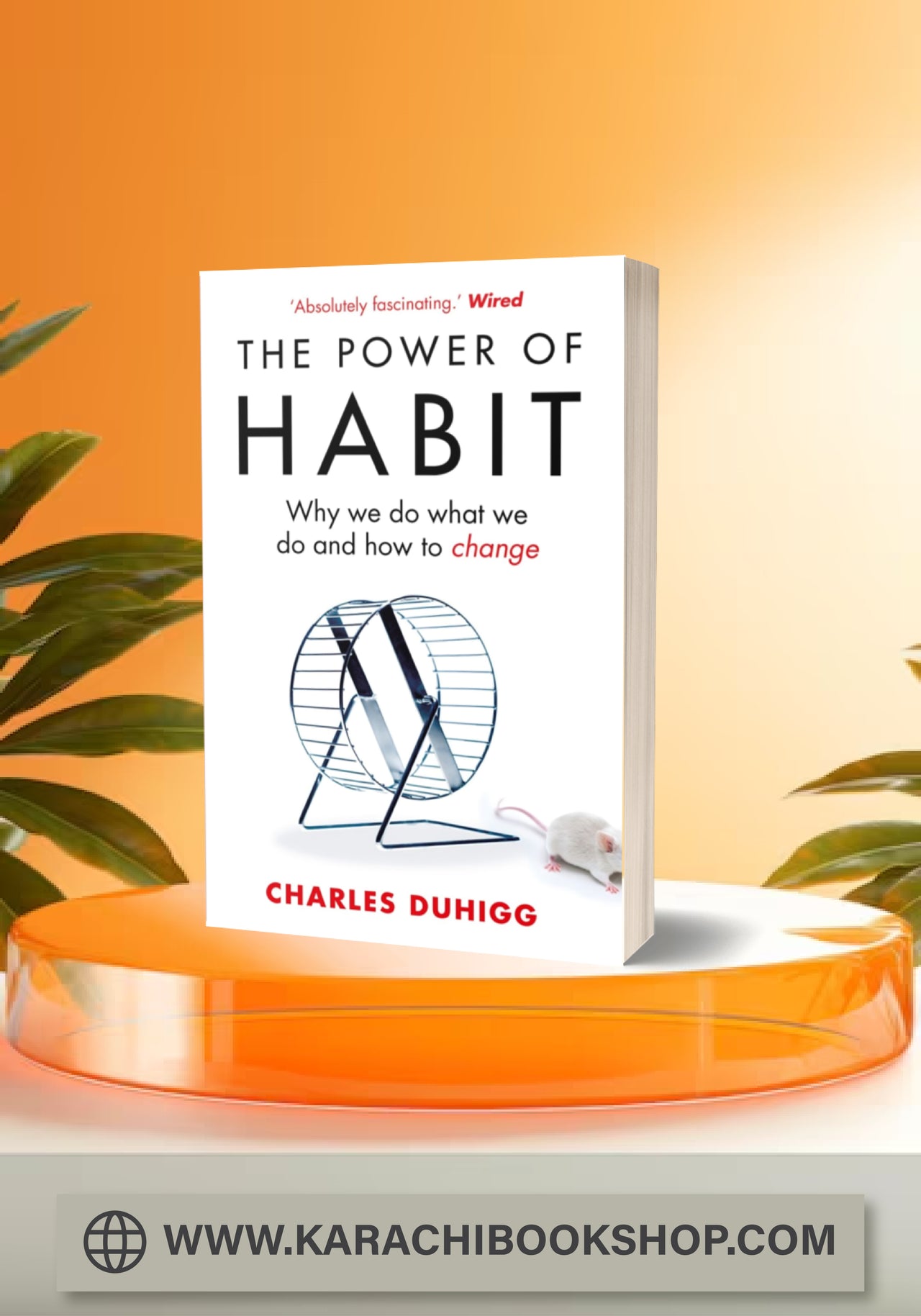 The Power of Habit