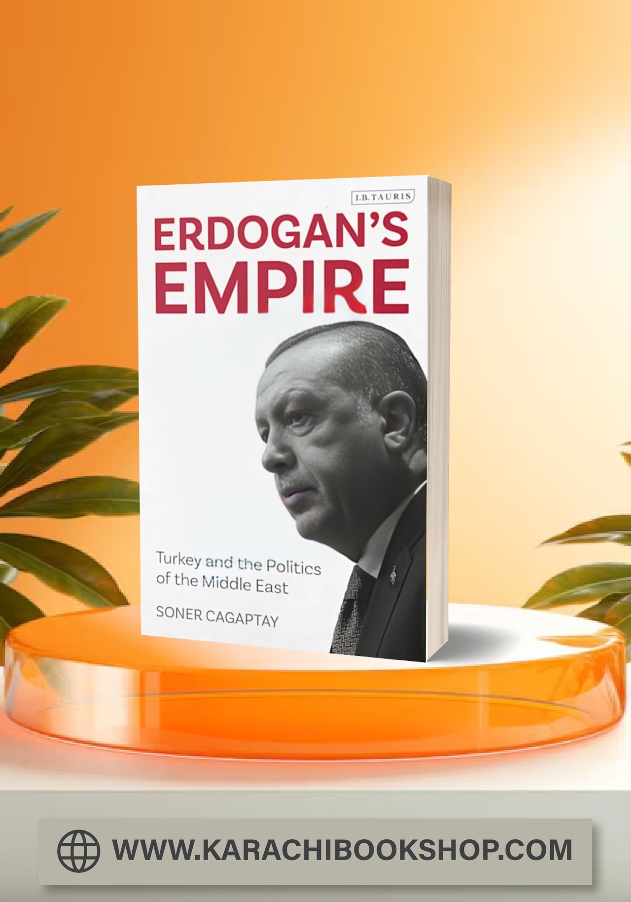 Erdogan's Empire