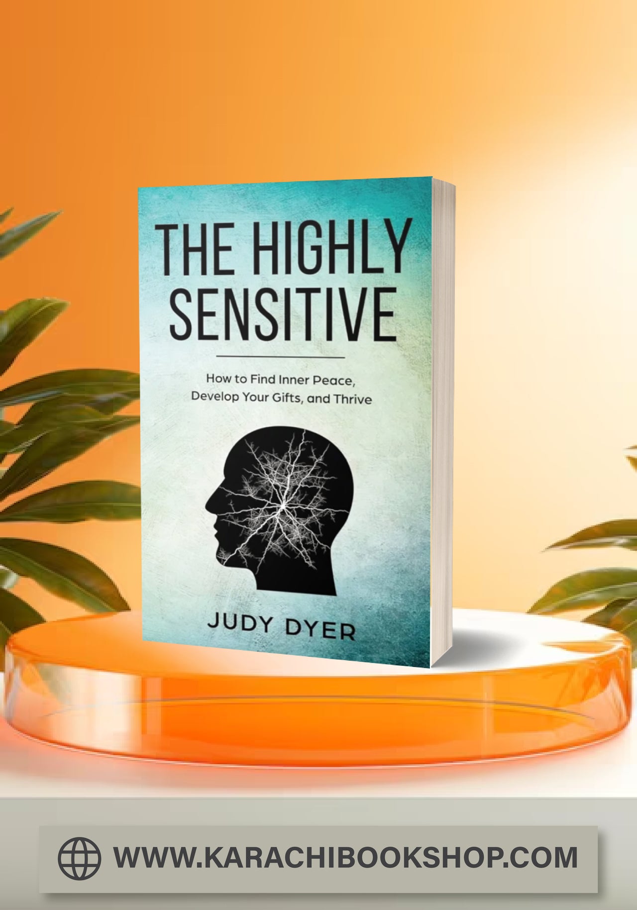 The Highly Sensitive