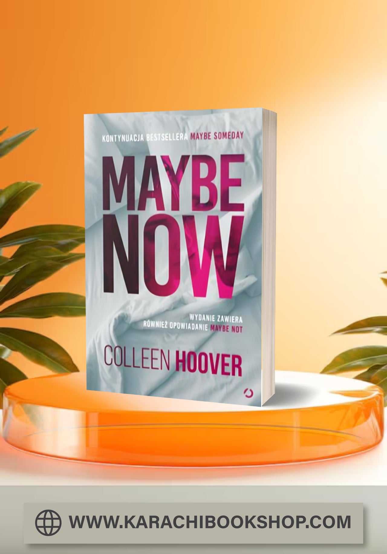 Maybe Now by Colleen Hoover