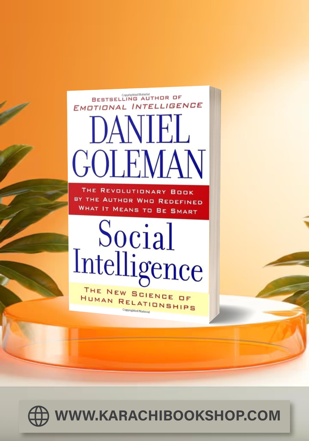 Social Intelligence: The New Science of Human Relationships