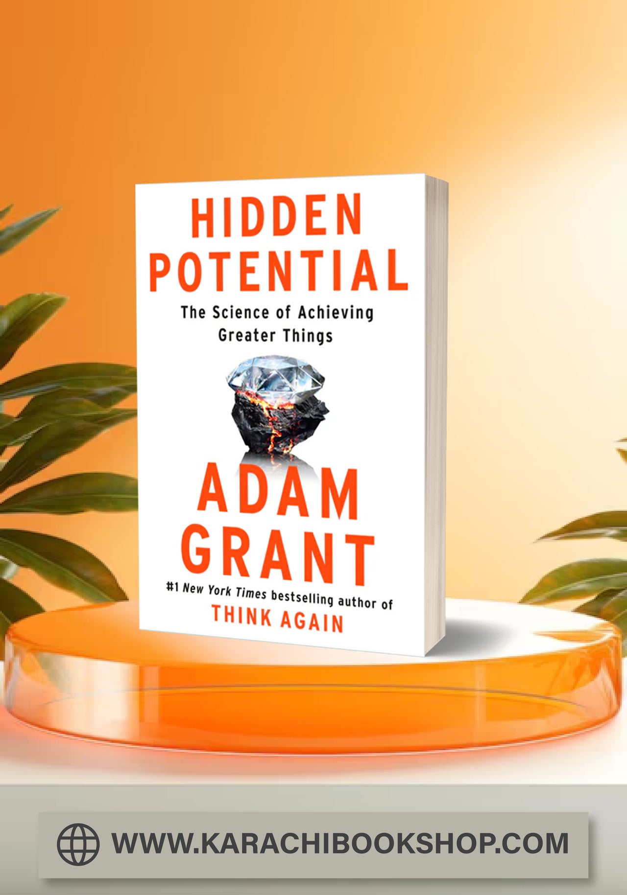 Hidden Potential: The Science of Achieving Greater Things