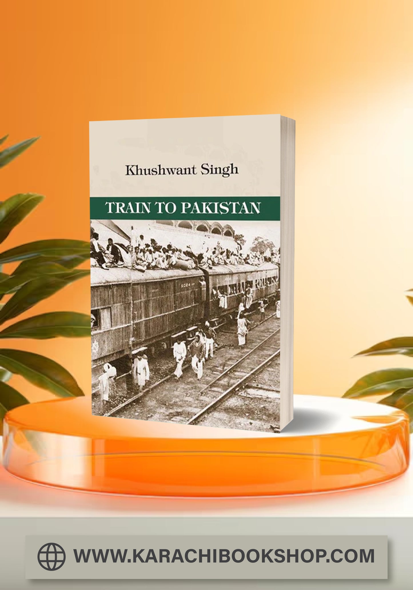 Train to Pakistan
