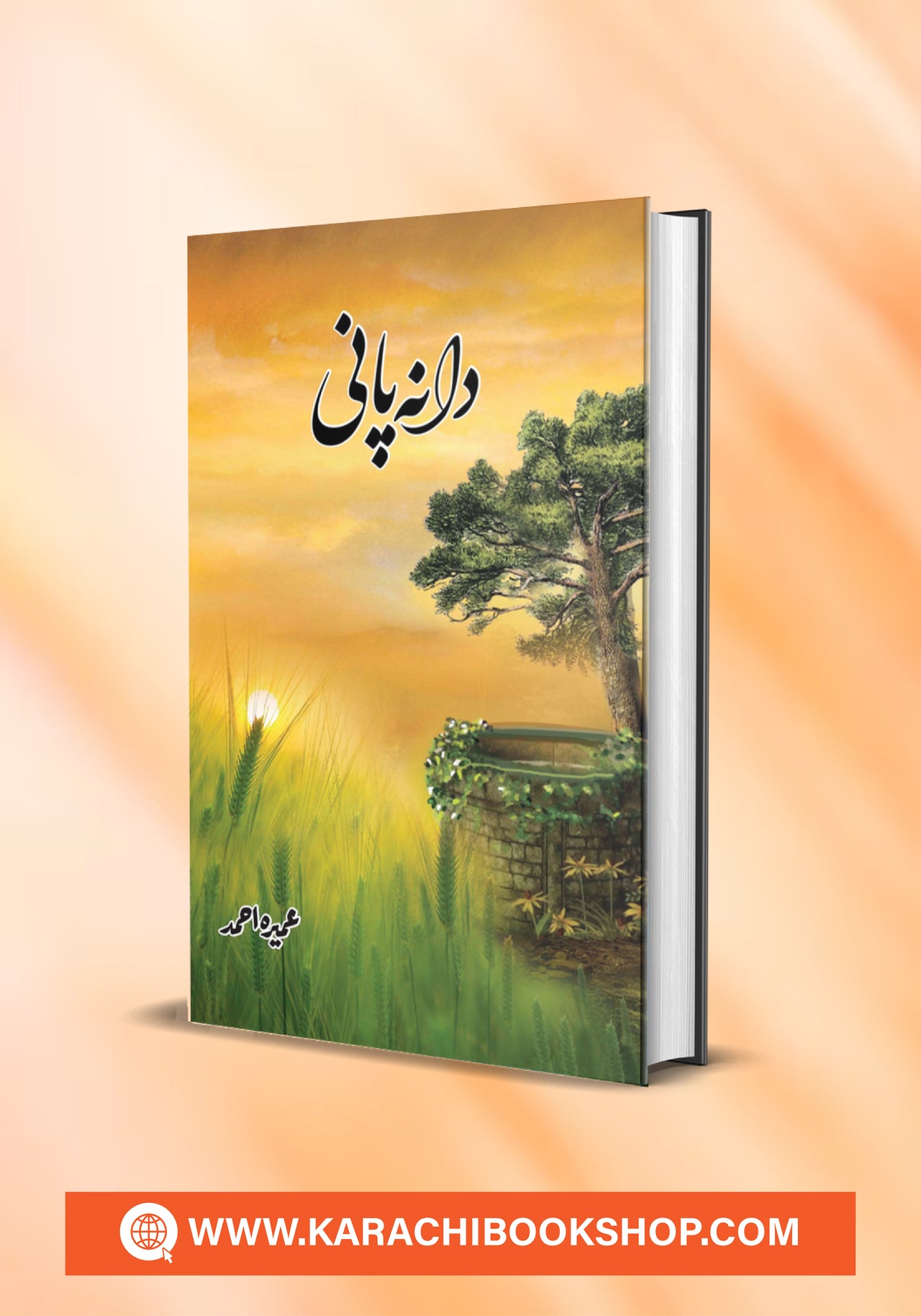 Dana Pani By Umera Ahmed Complete